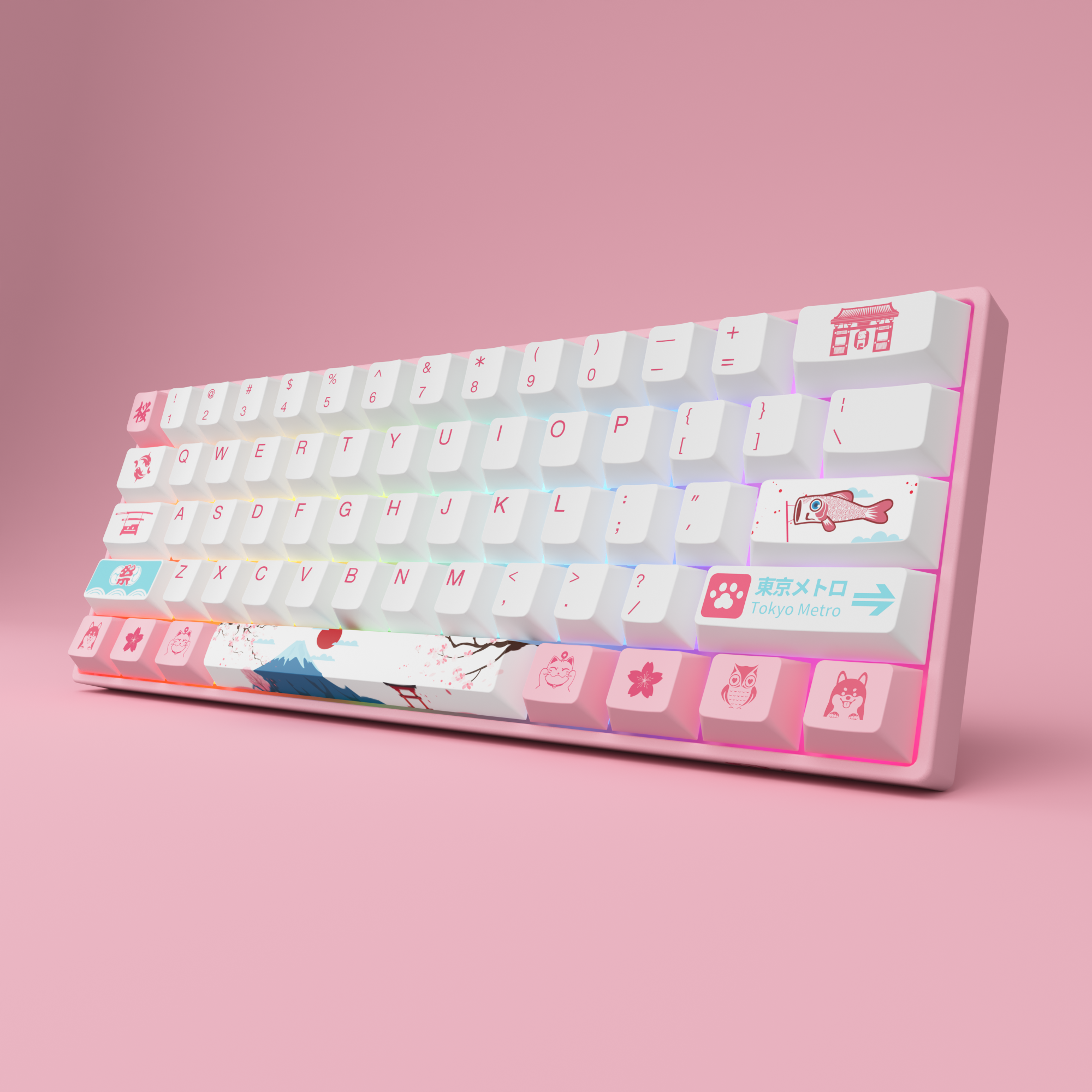 World Tour Tokyo 3061S RGB