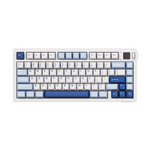 Akko MOD 007B V5 HE Blue White