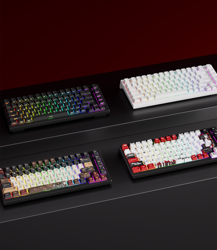 Akko TAC75 HE Magnetic Keyboards Four Theme keyboards
