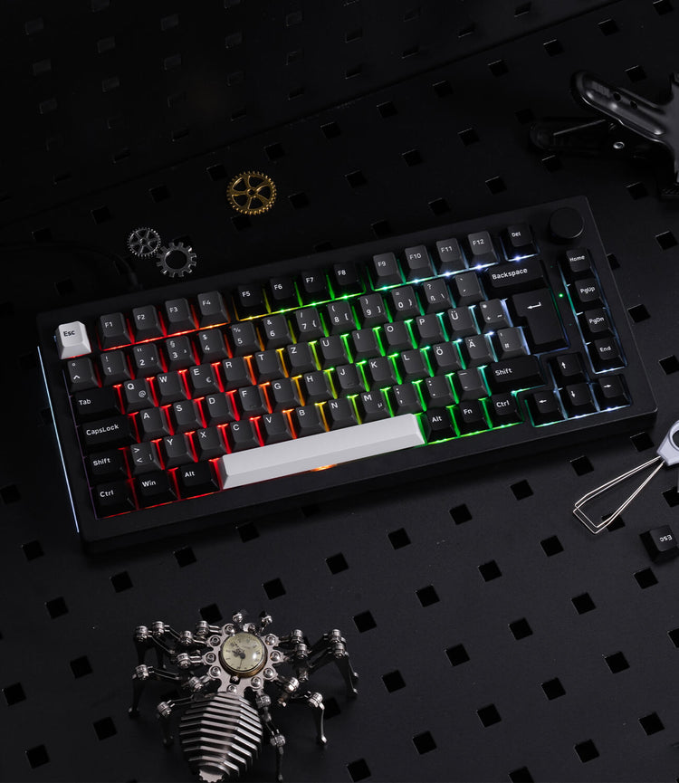 Auf dem Tisch liegt eine Black & Silver 5075B Plus ISO-Tastatur