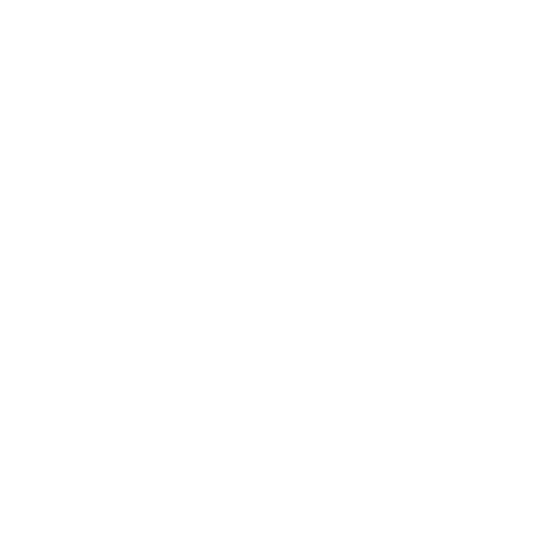 dks icon