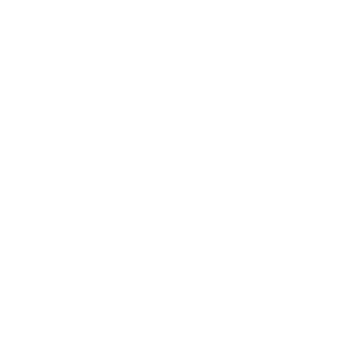 pbt dye-sub keycaps icon