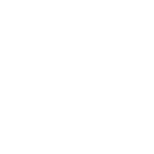 cusom knob icon