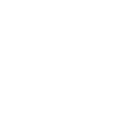 magnetic switch icon