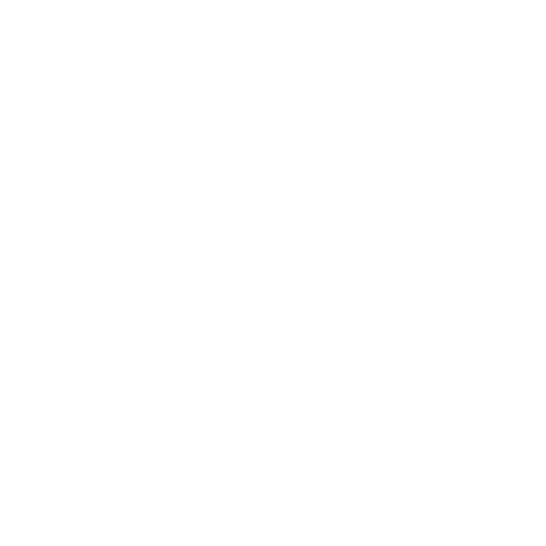 rapid trigger icon