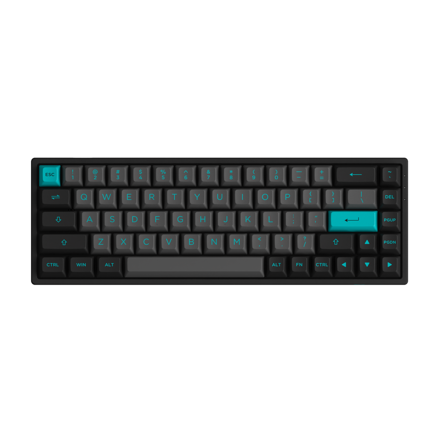 Black & Cyan 3068B Plus