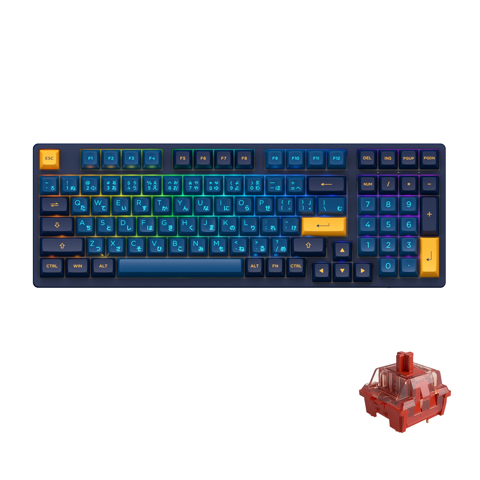 Macaw 3098S