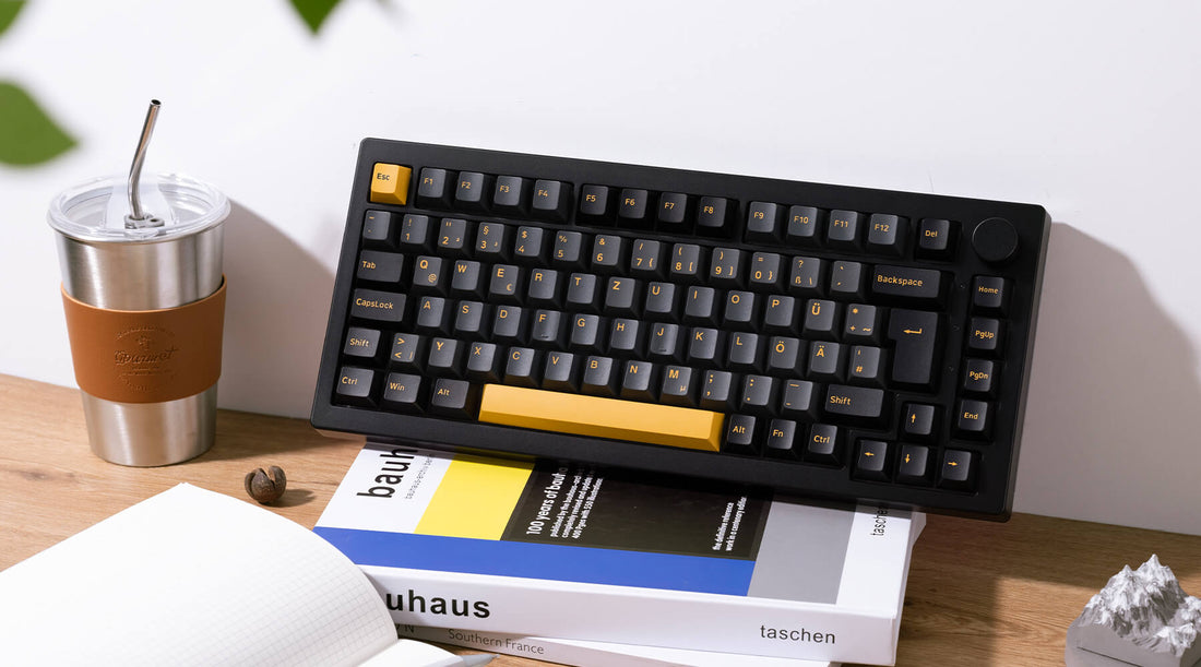 QWERTZ Tastatur: Alles, was Sie wissen müssen