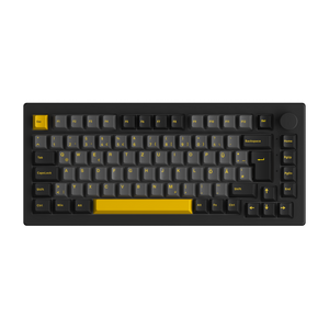Generalüberholt Black & Gold 5075B Plus ISO-DE