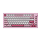 Akko 5075 V3 Mechanical Keyboard Prunus Lannesiana
