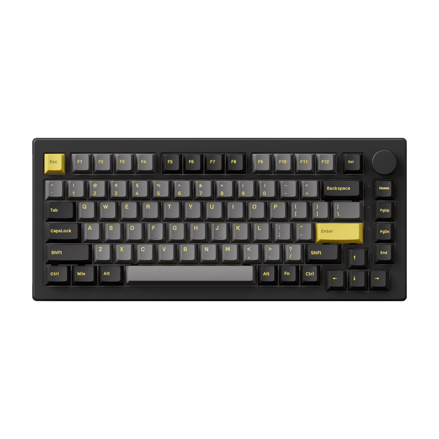Black & Gold 5075B Plus ISO
