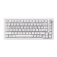 5075B Plus ASA Clear Mechanical Keyboard