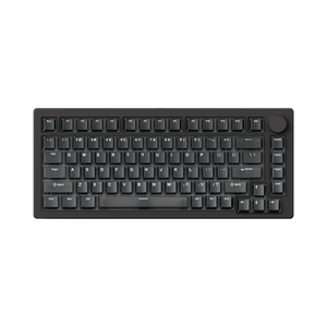 Akko PC Transparent Tastenkappen Set (82-Tasten)