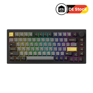 Black & Gold 5075B Plus ISO