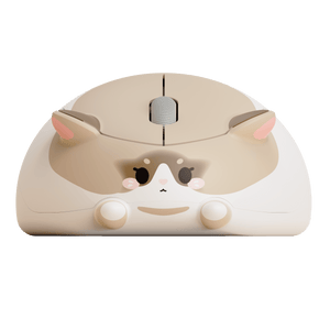 Akko Ragdoll Cat Mouse