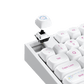 Akko Cinnamoroll 5087 V5 Keyboard Hot Swappable
