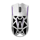 Echo Carbon Fiber Gaming Mouse