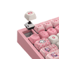 Akko Lulu Liu 5075 V5