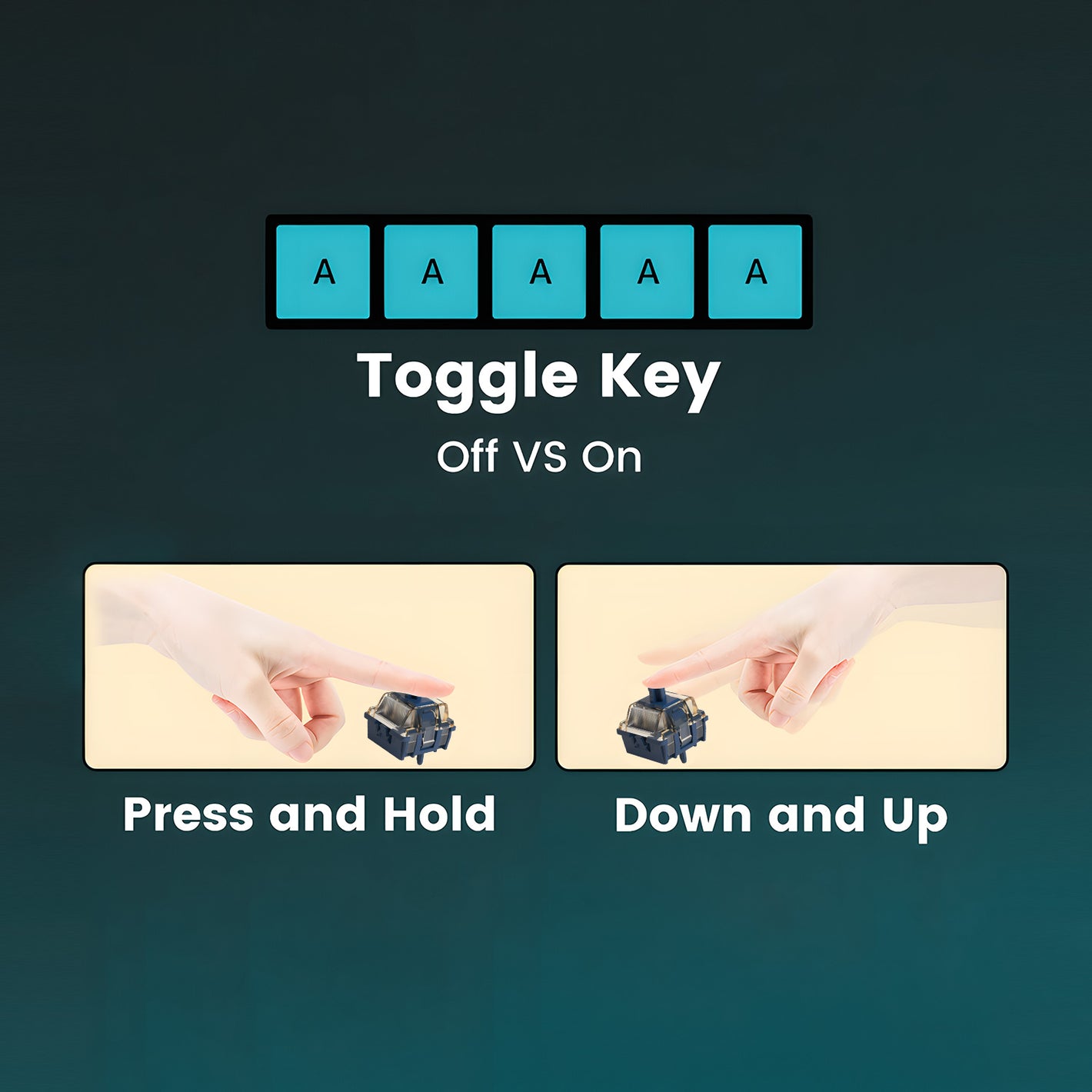 Akko MOD 007B HE Year of Dragon ISO Keyboard Toggle Key