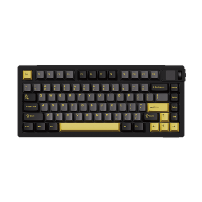 Akko MOD 007B V5 HE Black Gold