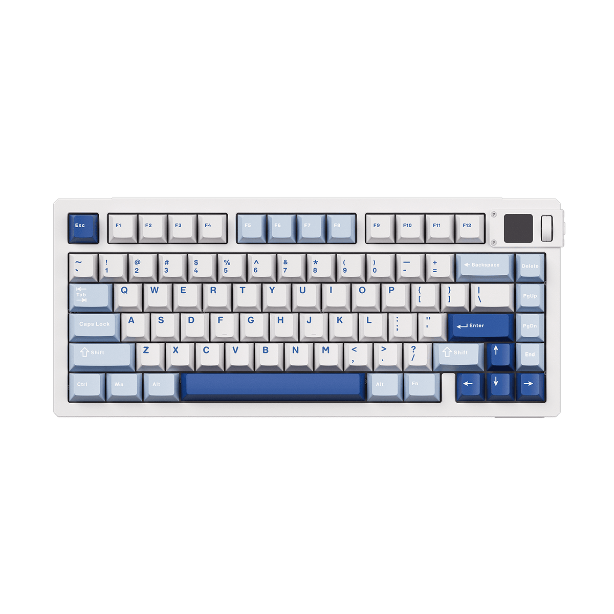 Akko MOD 007B V5 HE Blue White
