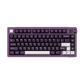 Akko MOD 007B V5 HE Black Purple
