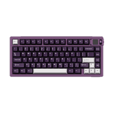 Akko MOD 007B V5 HE Black Purple