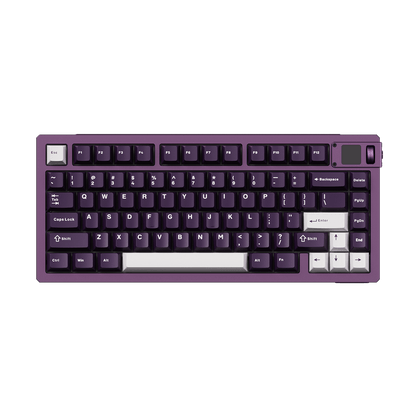Akko MOD 007B V5 HE Black Purple