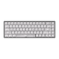 Akko MOD68 HE Magnetic Keyboard White Transparent