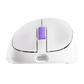 Akko Nest Gaming Mouse White Interface Details