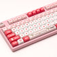 Akko POCO Pig 3108V3 Mechanical Keyboard Left Details