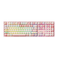 Akko Piggy Party 5108 V5 Mechanical Keyboard RGB