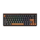 Akko Ray68 HE Magnetic Keyboard Misty Black Tea