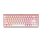 Akko Ray68 HE Magnetic Keyboard Misty Pink