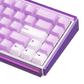 Akko Ray68 HE Magnetic Keyboard Misty Purple Right Details