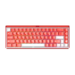 Akko Ray68 HE Magnetic Keyboard Misty Red