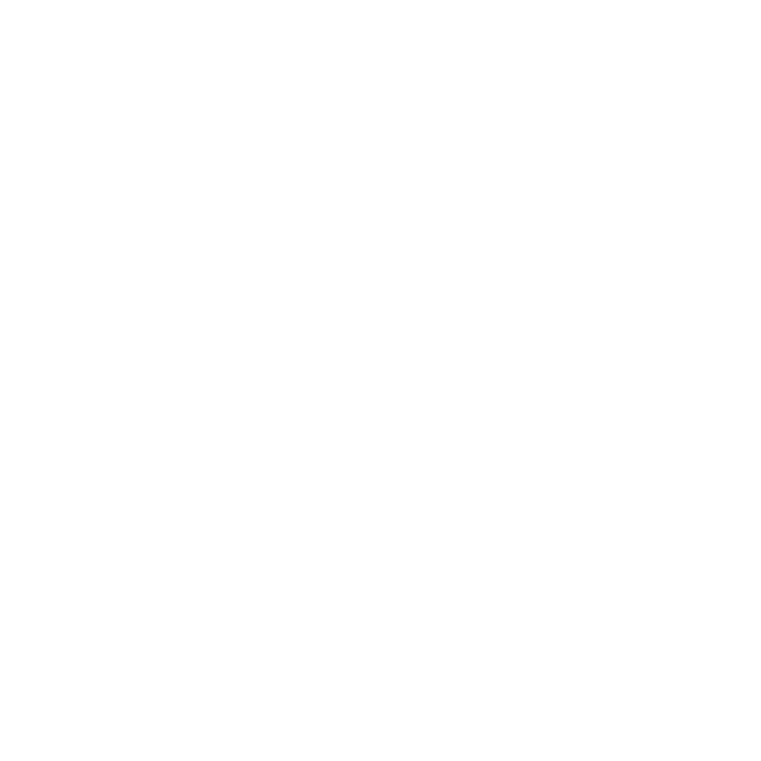 Shipping Protection Icon White