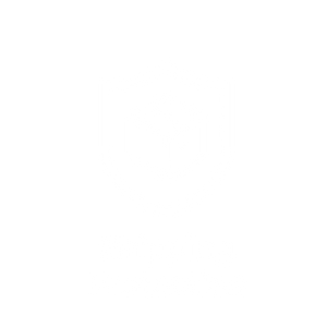Shipping Protection Icon White