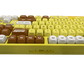 SpongeBob 5108 V5