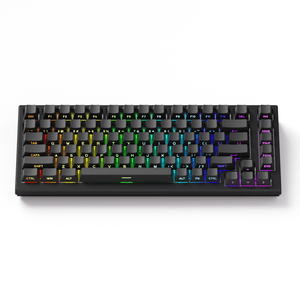 Akko TAC75 HE Magnetic Keyboard Shine Through Black