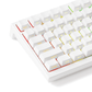 Akko TAC75 HE Shine Through White Left Details