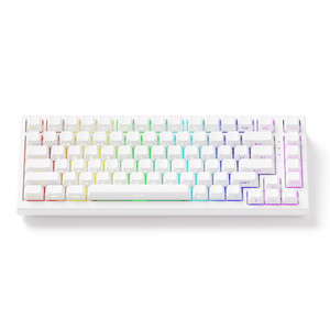 Akko TAC75 HE Magnetic Keyboard Shine Through White RGB Details