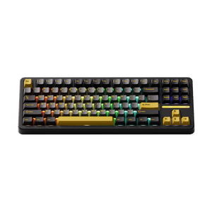 Akko TAC87 Black Gold Mechanical Keyboard Front Side RGB