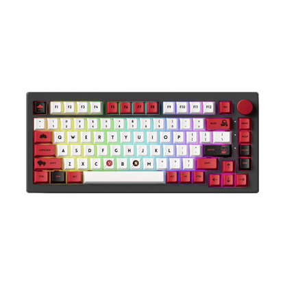 World Tour Vietnam 5075B Plus