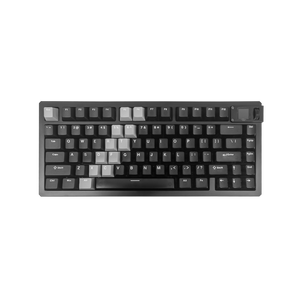 MOD 007 V5 HE Gradient Hybrid Black Transparent (DE Stock)