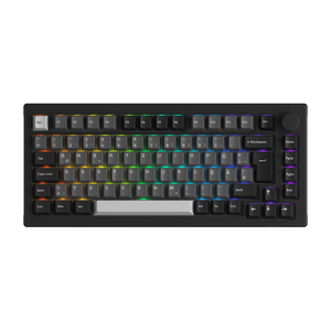 Black Silver 5075B Plus VIA ISO Mechanical Keyboard