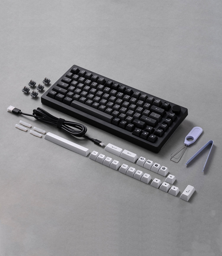 Black & Silver 5075B Plus Tastatur struktur und accessories