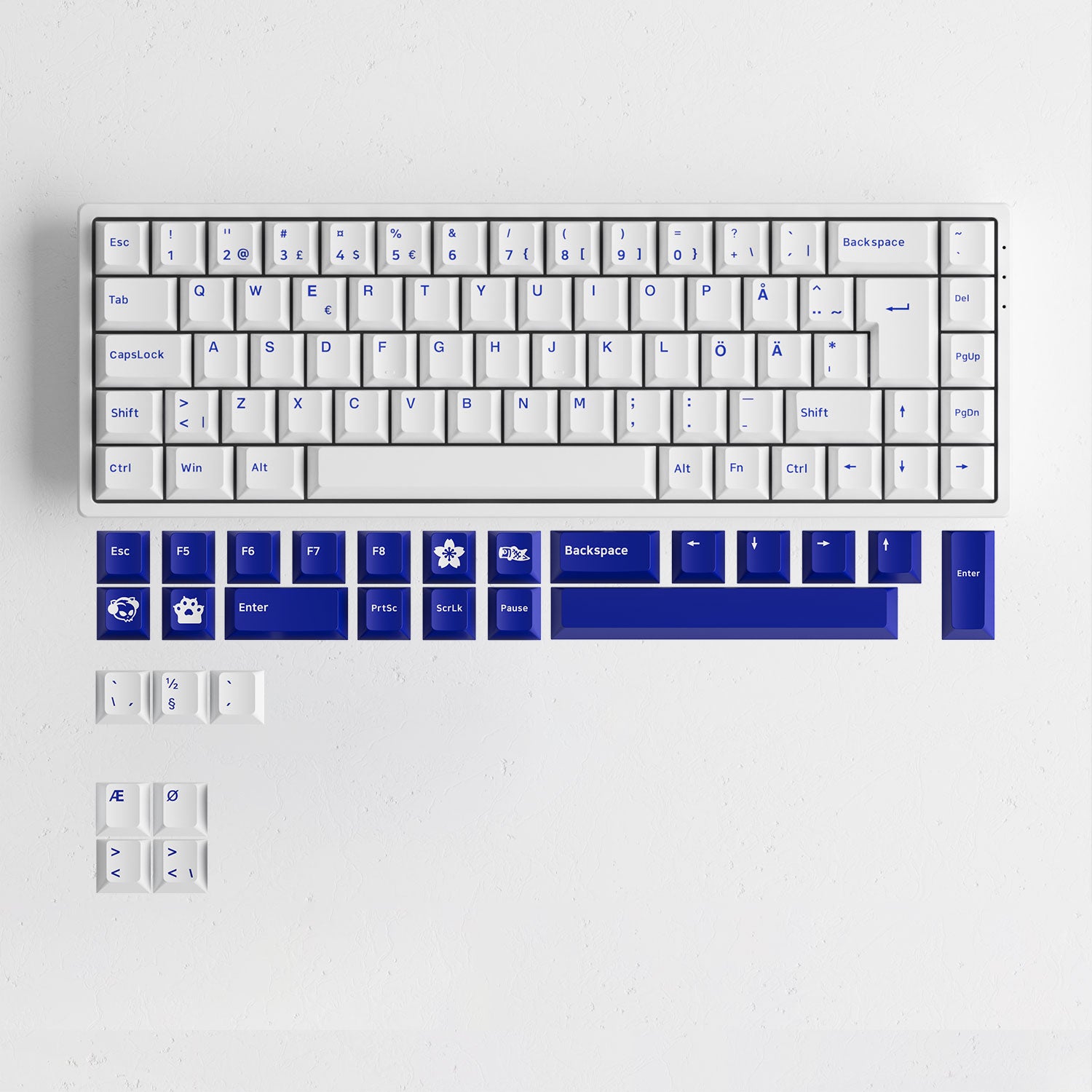 Blue on White ISO Nordic Tastenkappen Set (76-key) install on the keyboard
