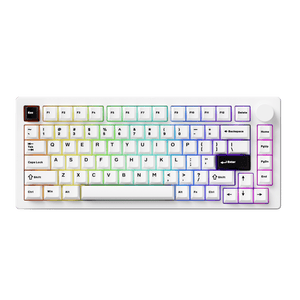 MonsGeek M1 V5 - Black on White- Black & Silver