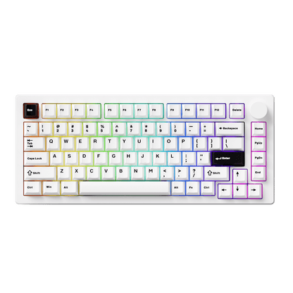 MonsGeek M1 V5- Black on White- Black & Silver